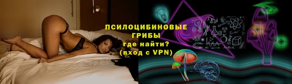 экстази Белокуриха