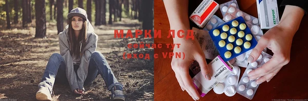 PSILOCYBIN Богородицк